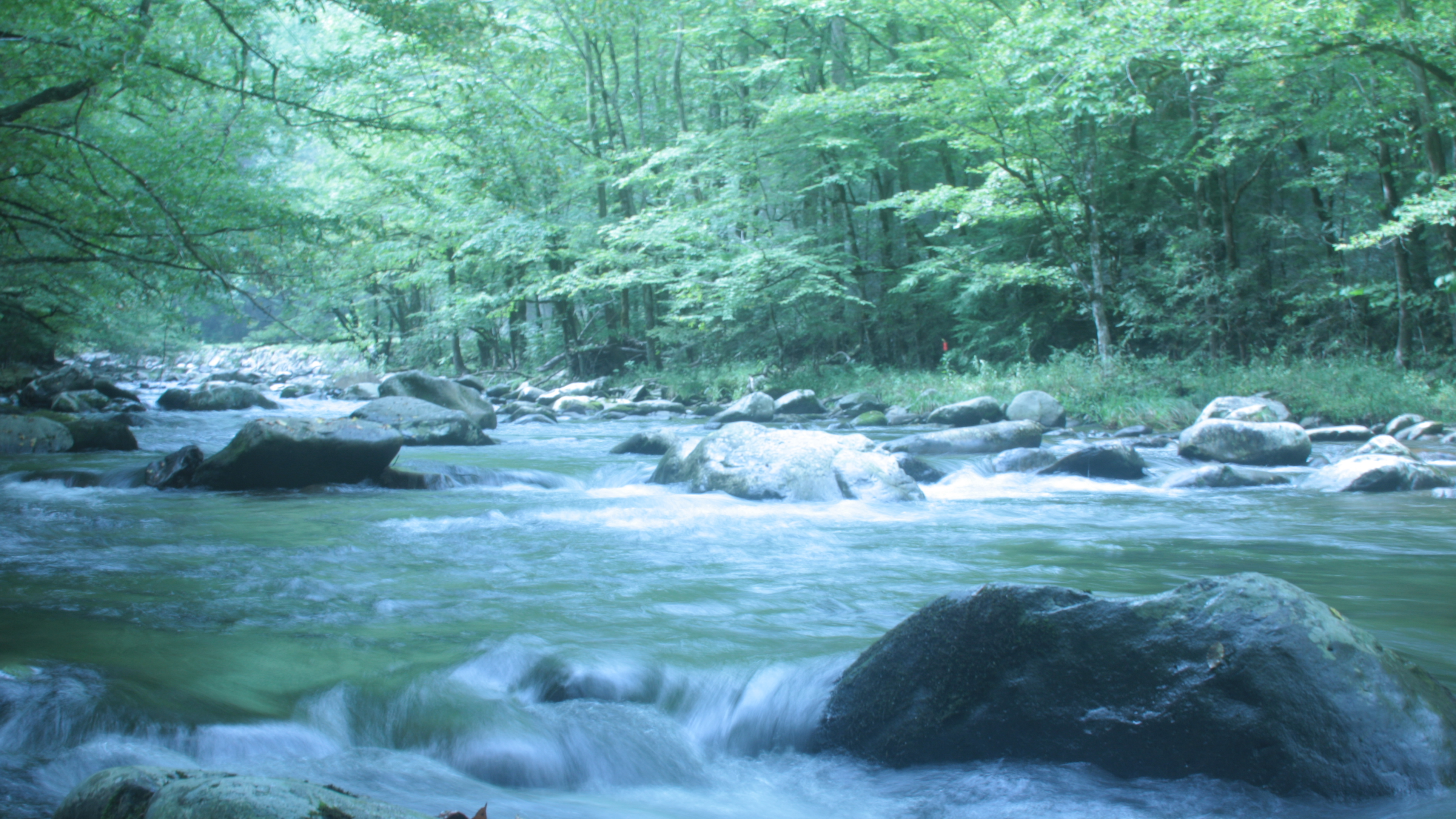 Water rushes downstream through large rocks in a creek surrounded by leafy green trees.