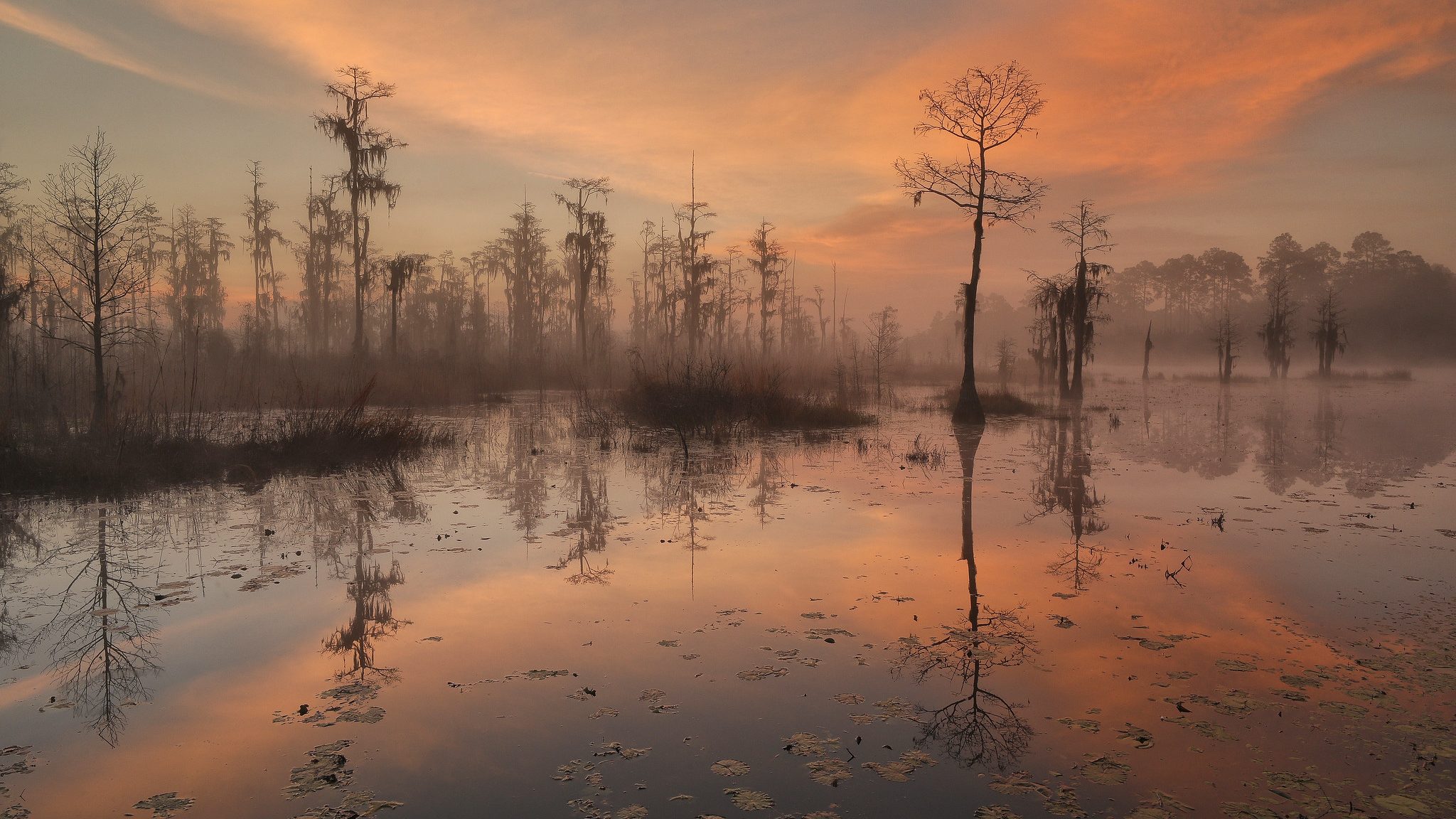 A sunrise reflecting off of the Wolf Bay in Brooks County, Georgia