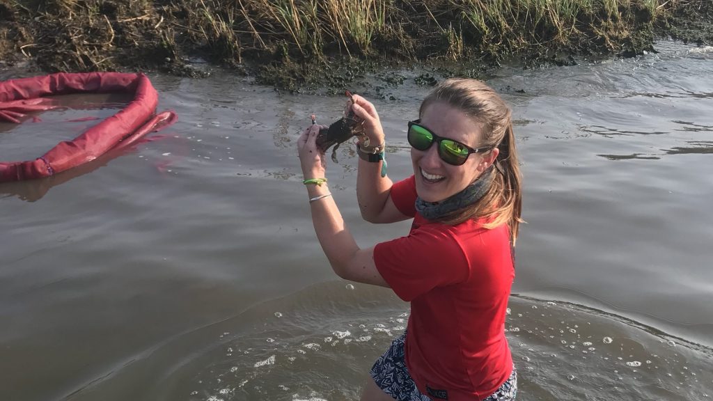 Erin Voigt pictured holding up one of her research subjects: a blue crab