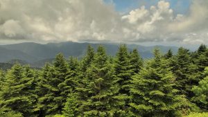 west view of Mount Mitchell in North Carolina