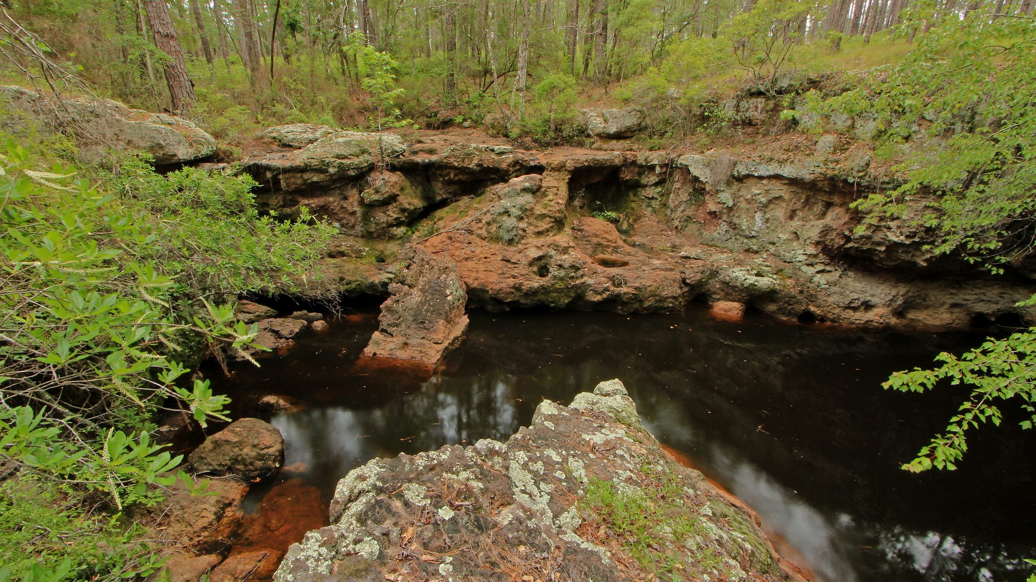 Rocky Creek Falls, Broxton Rocks Preserve, The Nature Conservancy, Coffee County, Georgia 1