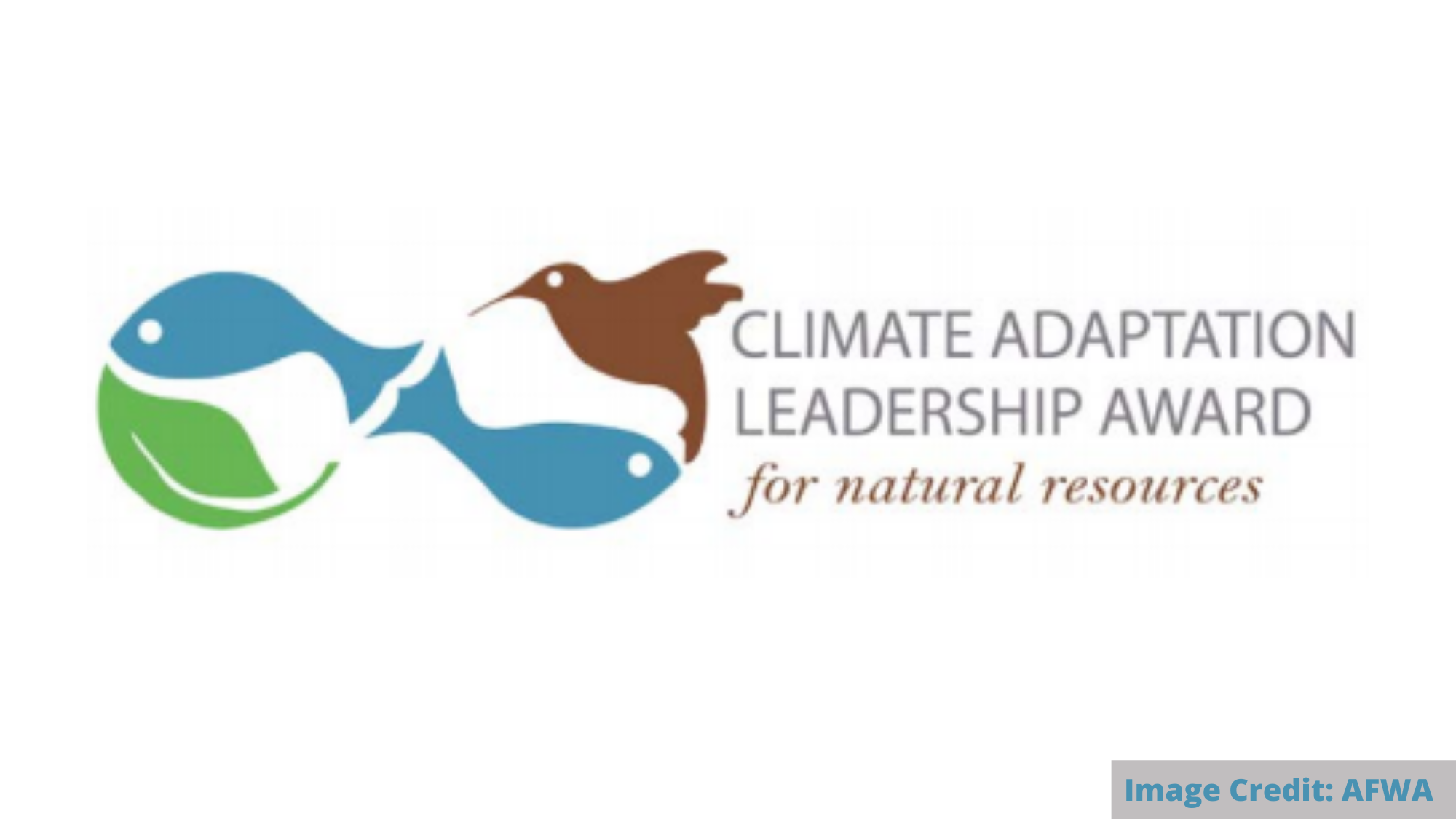 Climate Adaptation Leadership Awards logo