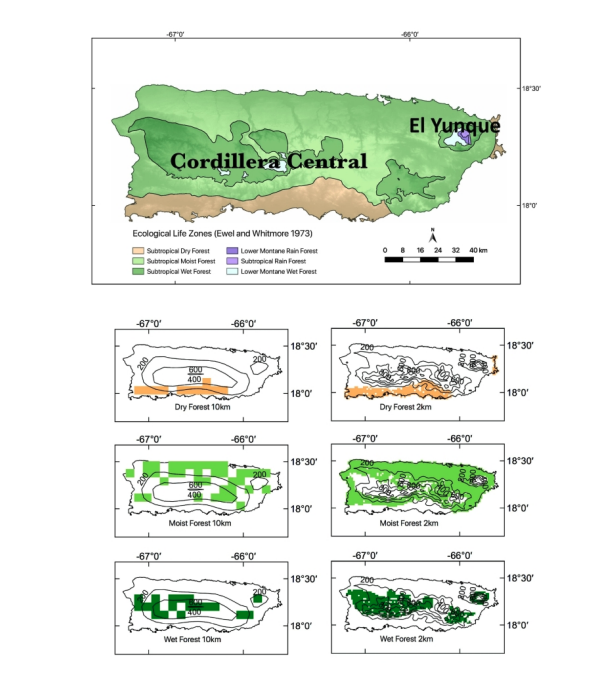 Observed ecological life zones in Puerto Rico