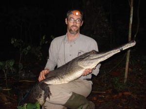 Mitch Eaton holding a slender-snouted crocodile