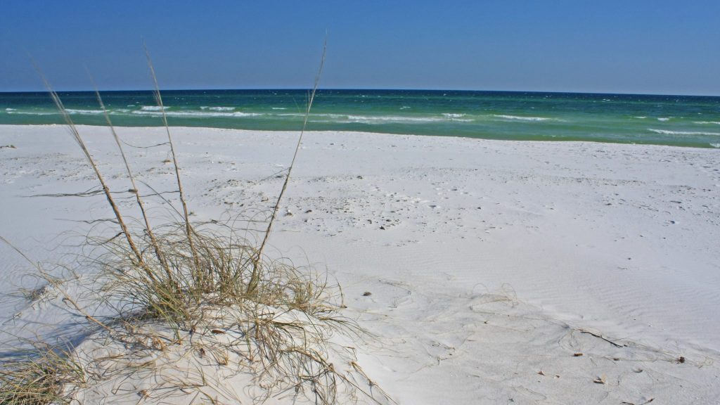 image of white sandy beach with ocean