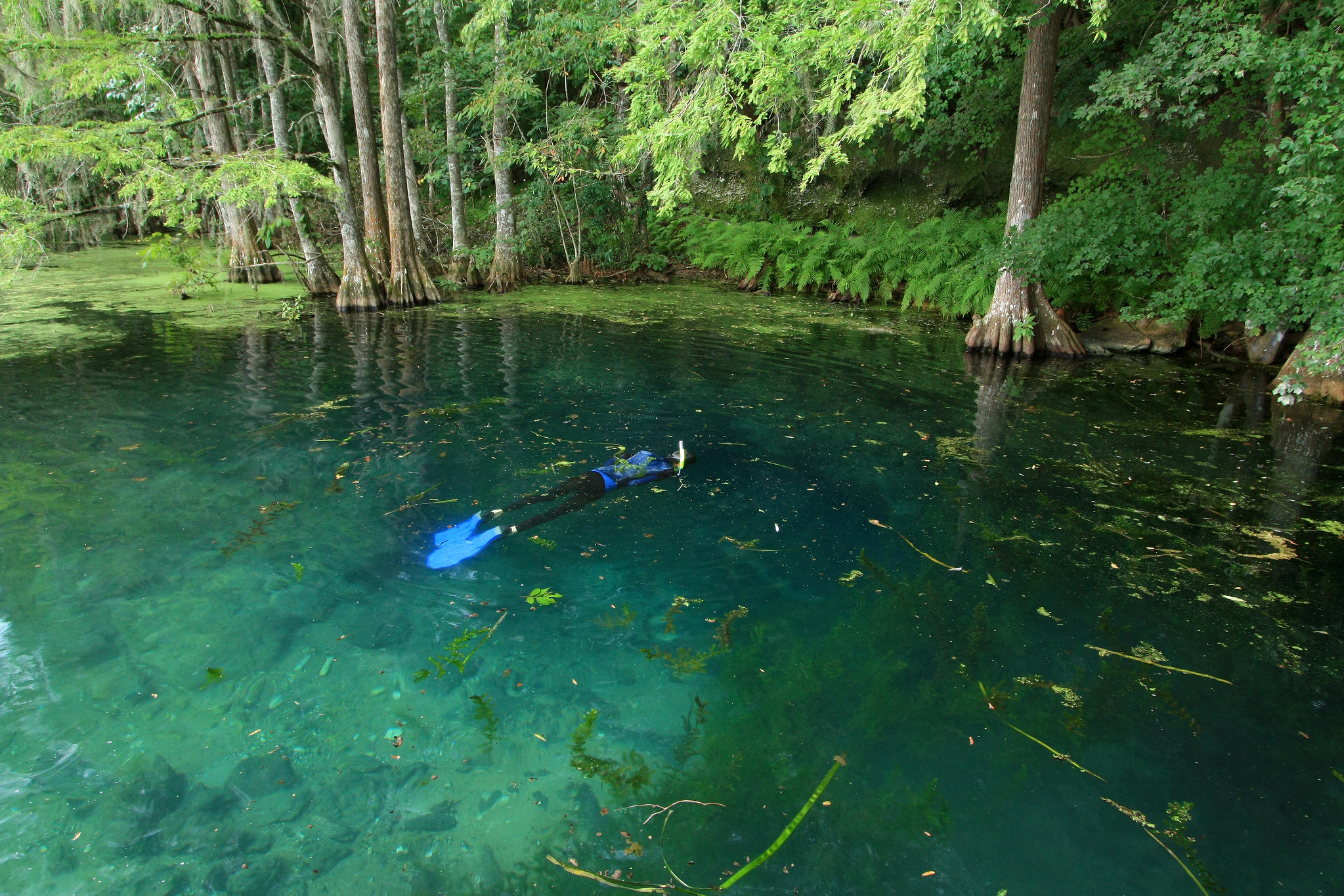 Hole In The Wall Cave, Merritts Mill Pond, Jackson County, Florida.