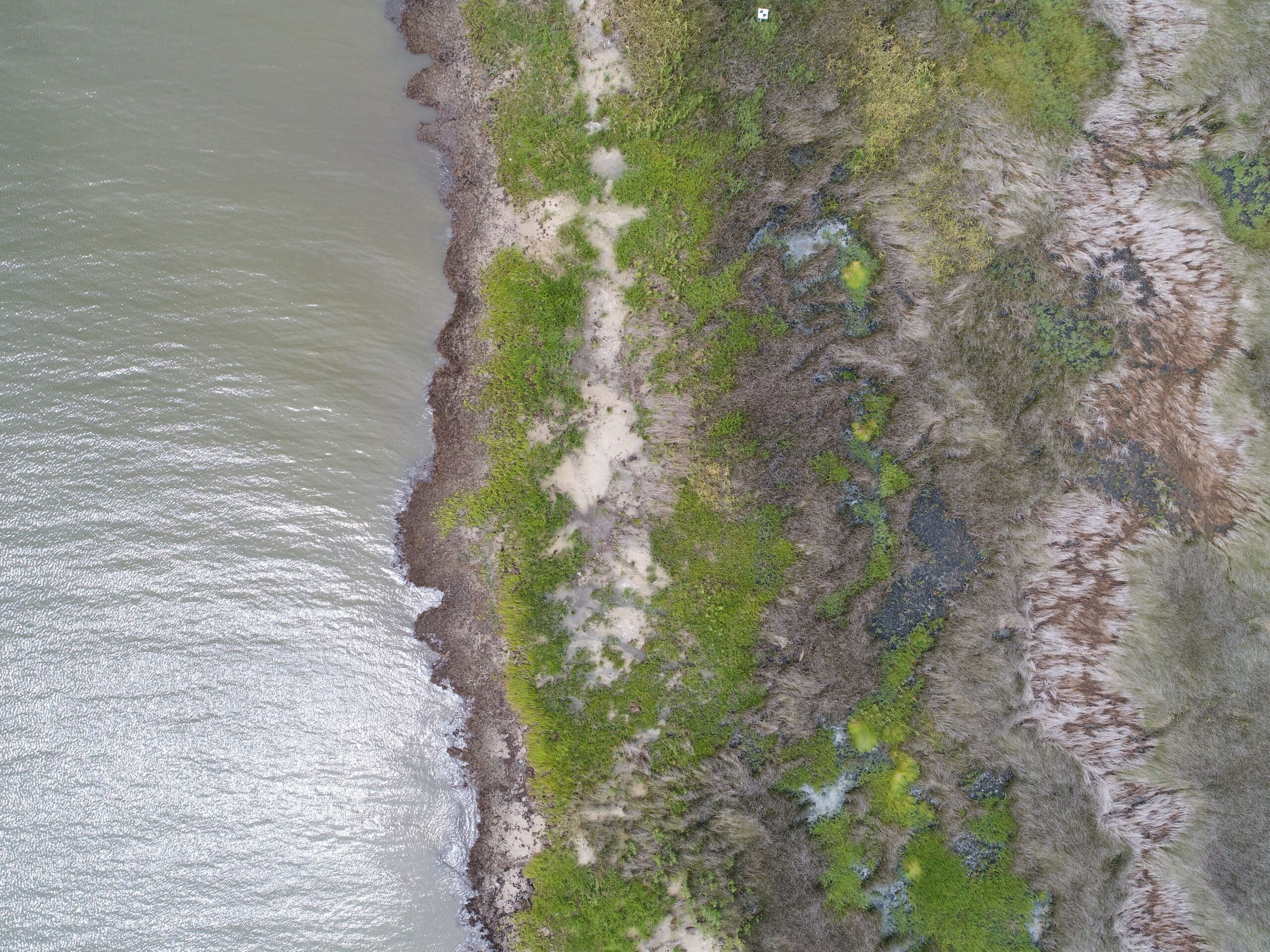 overhead picture of coastal habitat